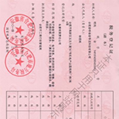音特稅務副本
